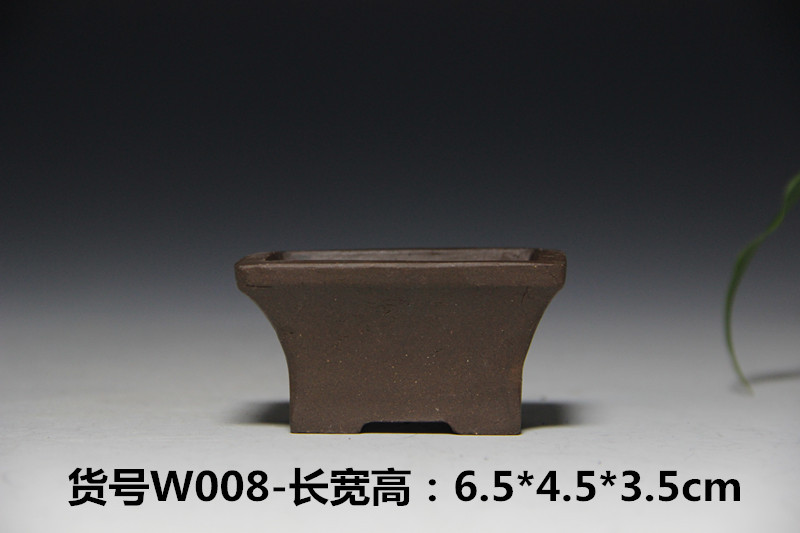 IMG_6174_副本