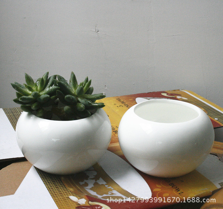 _MG_3955 - 副本_副本