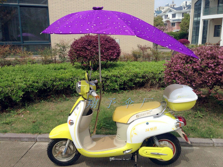 紫色 拷贝_副本_副本_副本