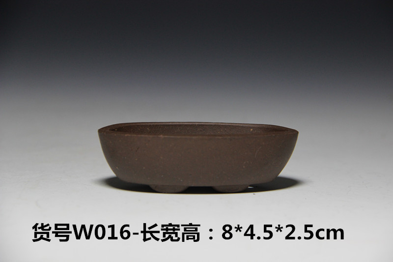 IMG_6126_副本