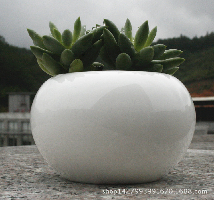 _MG_3961_副本_副本