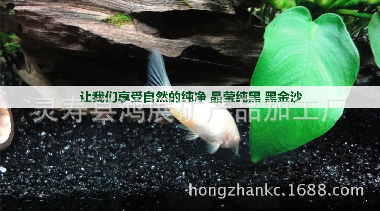 1782253763_796345177[1]