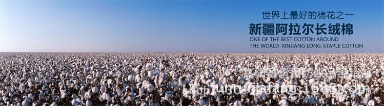 1388573048_1982067849