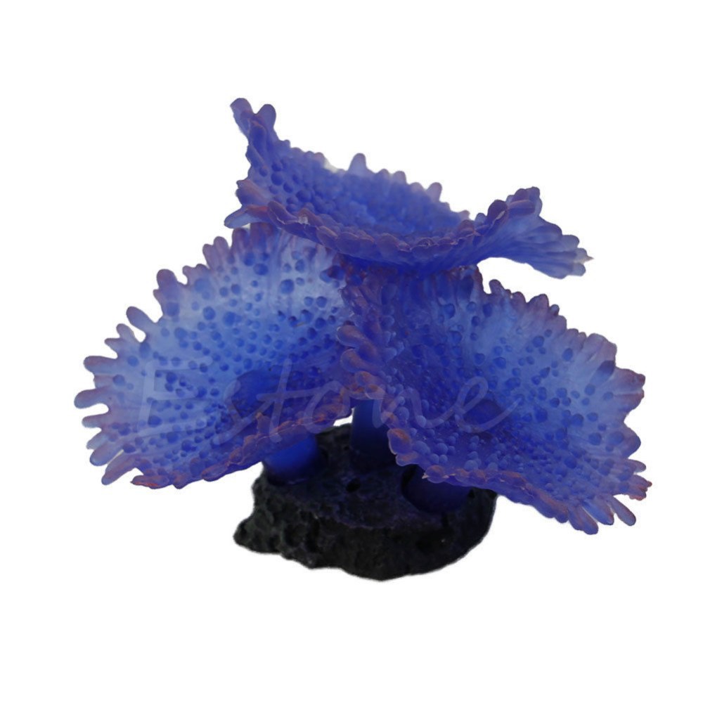 HTB1MrSyJVXXXXcwXXXXq6xXFXXXz