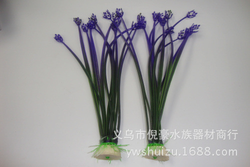 DSC02074