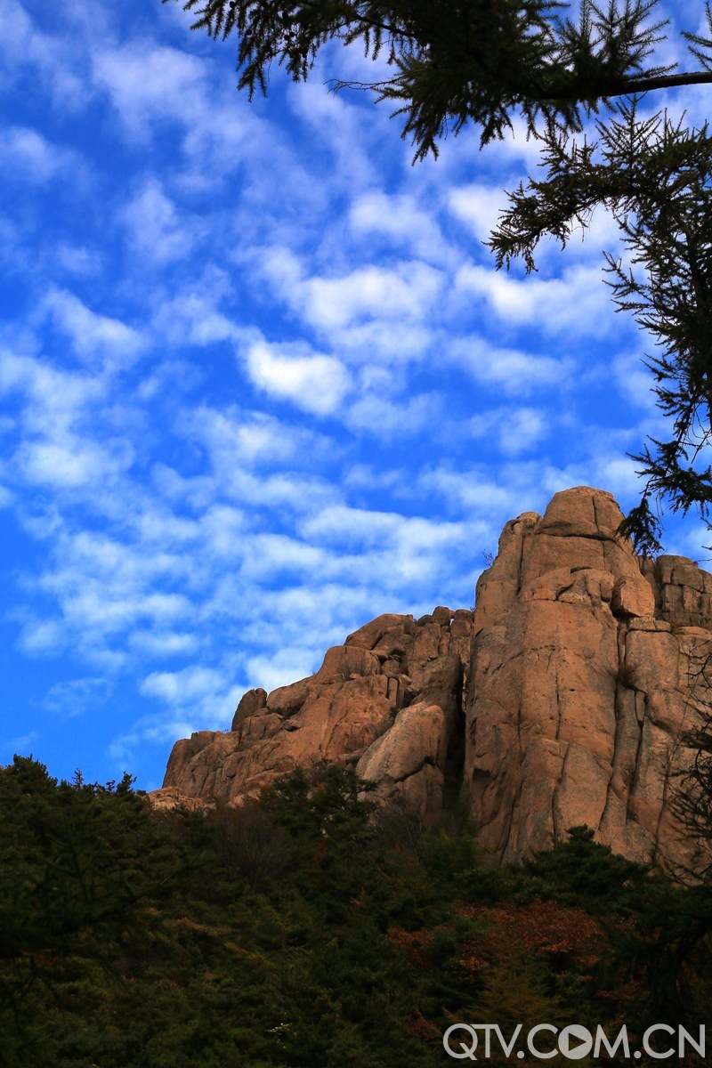 204048sma59gathmp5lvcg