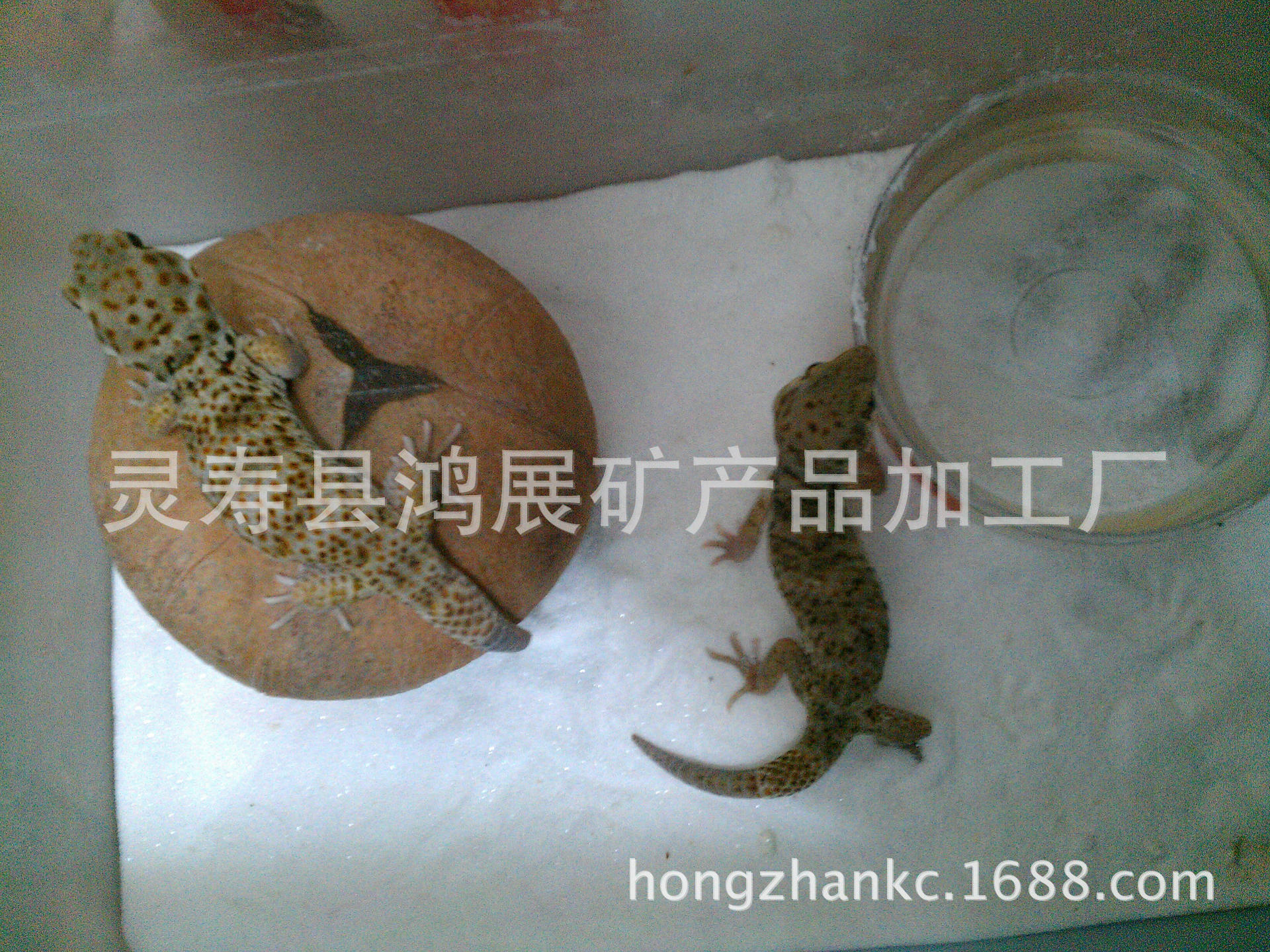 0d5c396d55fbb2fb24771a794e4a20