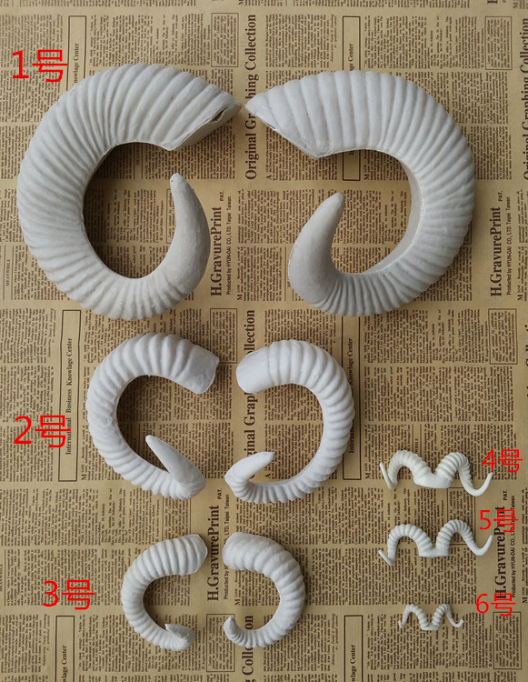 QQ图片20151113092927_副本