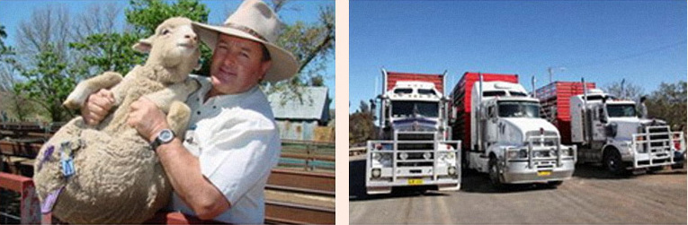 搜狗截图15年08月16日1812_8