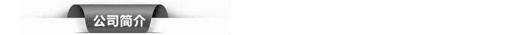 公司简介