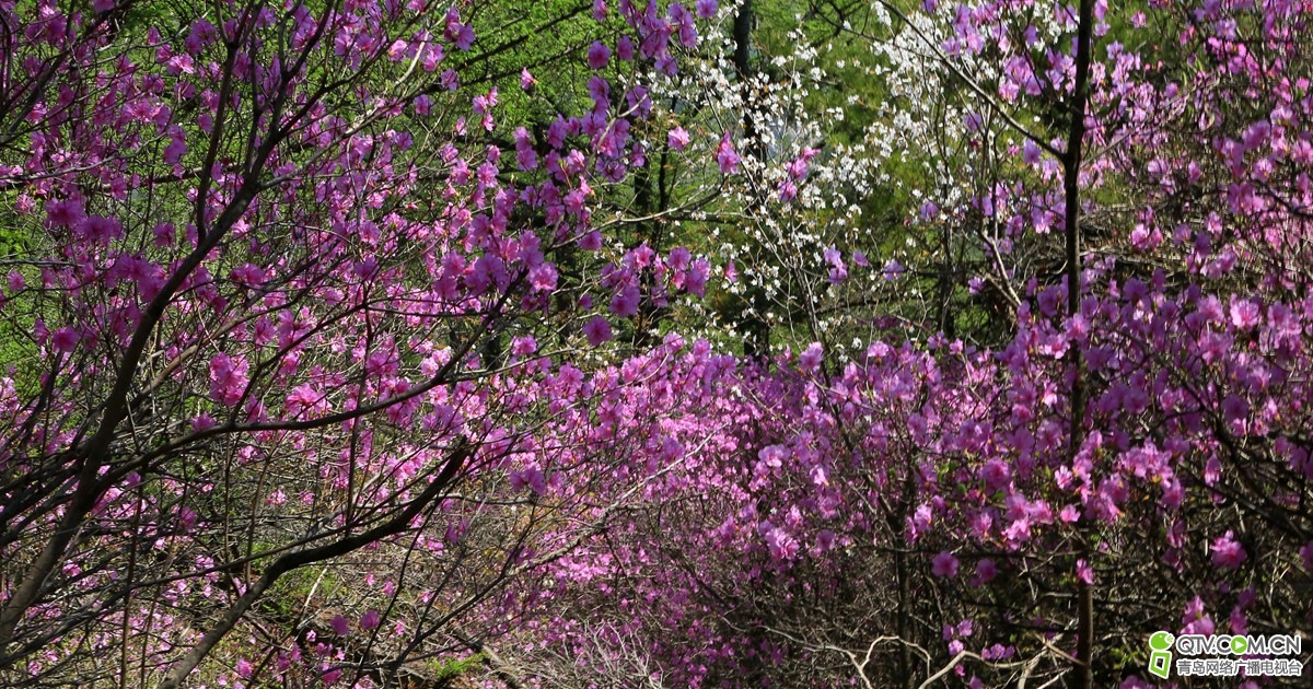 192143hik75rdijj00jp0i