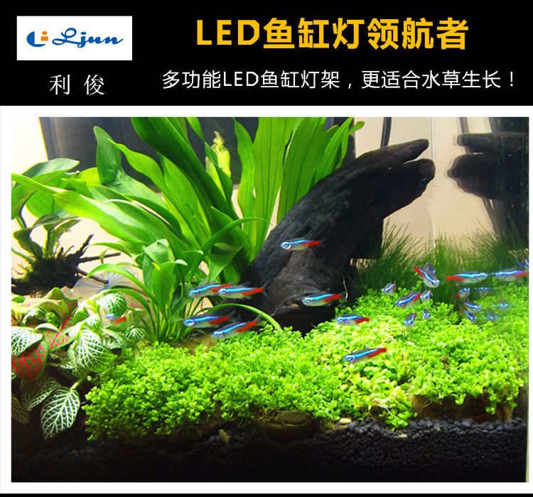 利俊LED水草灯