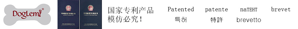 国家专利产品