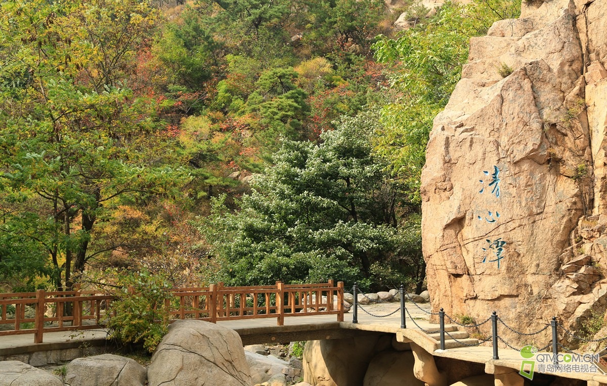 193953c0gqys0yvqvjddvg