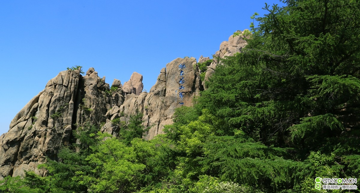 192017zz0f5ox58monsgfp