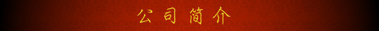 公司简介