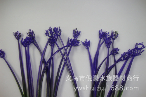 DSC02076