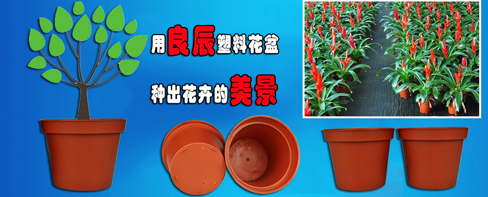 塑胶花盆海报官网