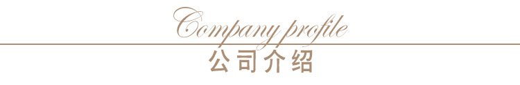 公司介绍