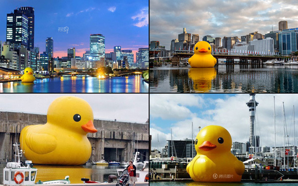 T2hX96XjVbXXXXXXXX_!!268845527