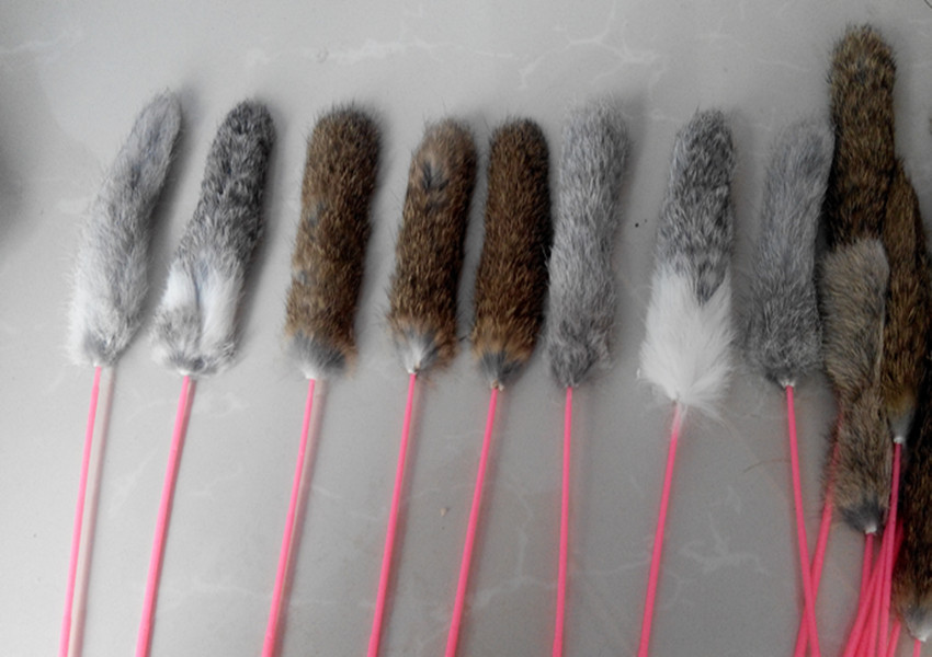 IMG_20150830_151349_副本