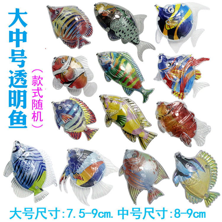大中号透明鱼