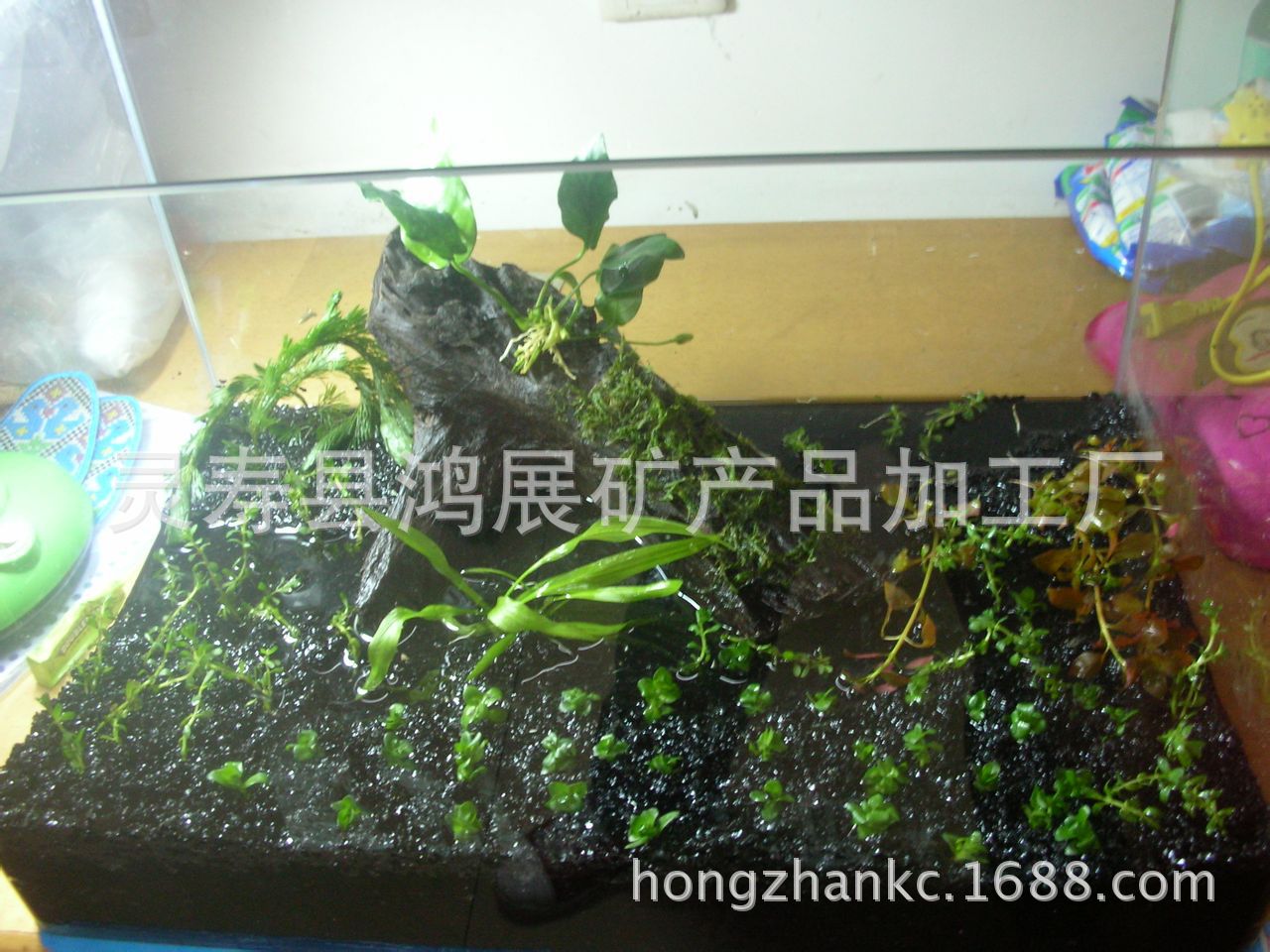 a5c27d1ed21b0ef49195e7e4ddc451