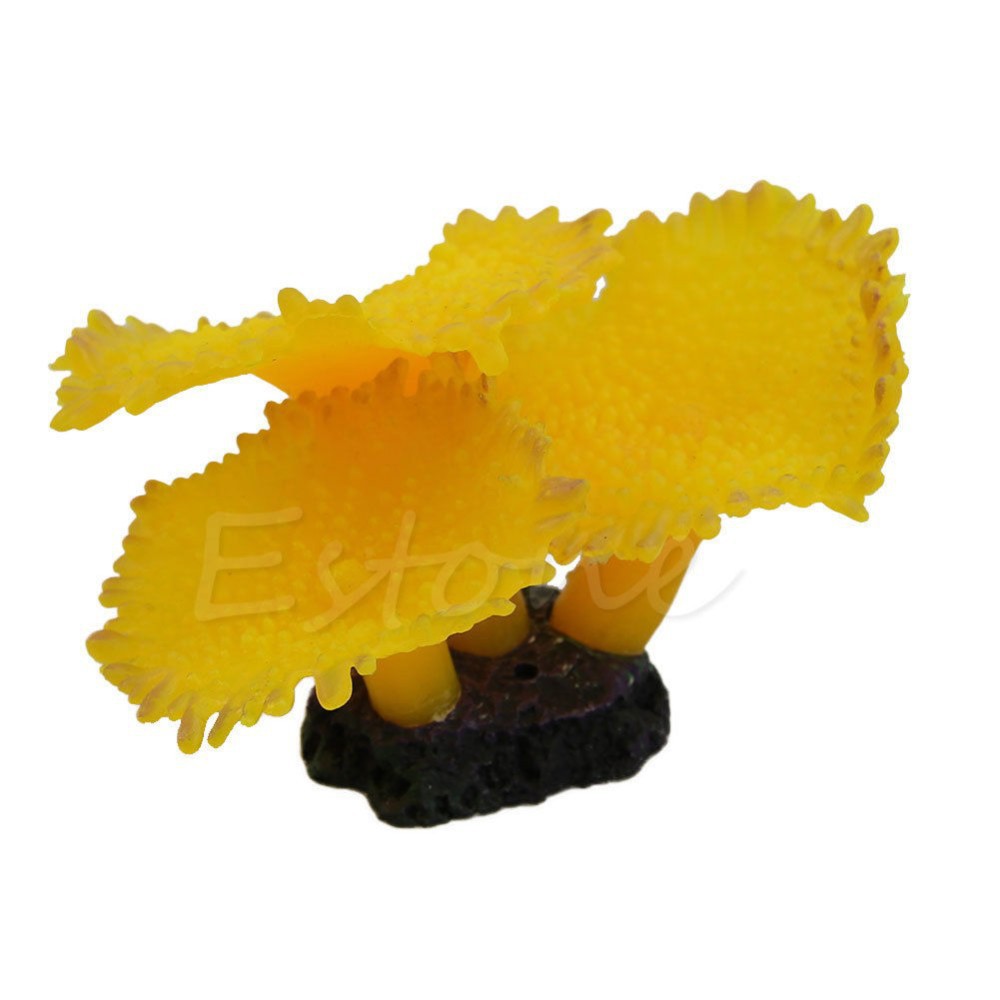 HTB1mqSdJVXXXXX4XVXXq6xXFXXX8