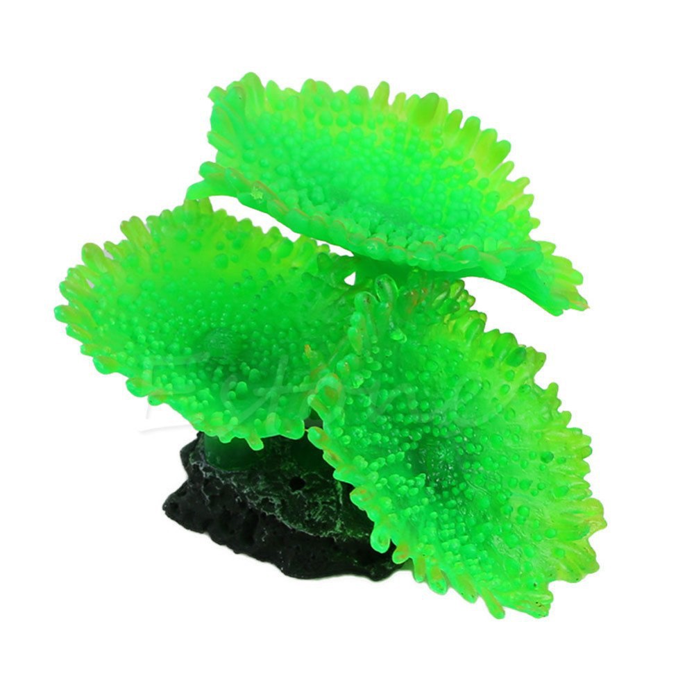 HTB1E.irJVXXXXasXpXXq6xXFXXX6