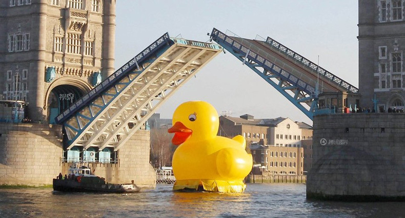 T211GbXbldXXXXXXXX_!!268845527