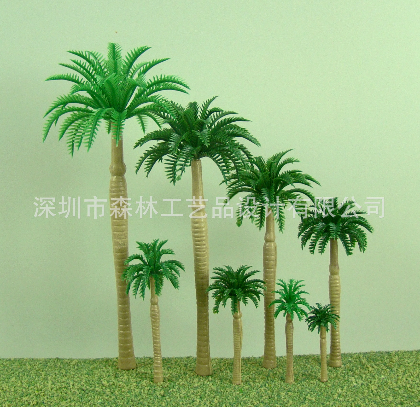 大王椰
