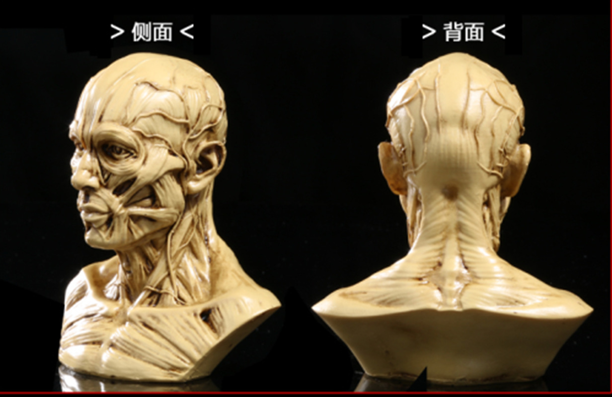 复件 骷髅头-129 (3)_副本