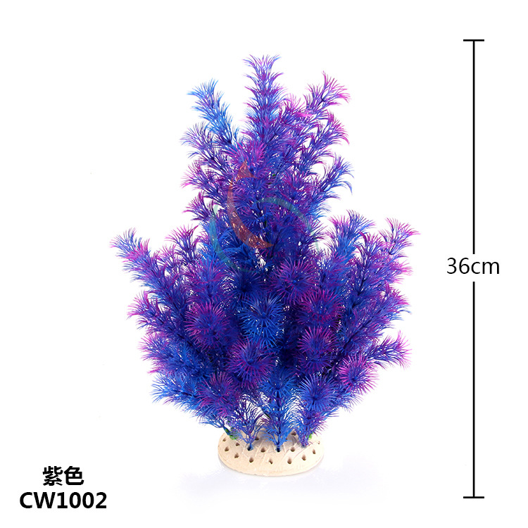 CW1002
