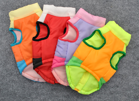 复件 照片 11121_副本