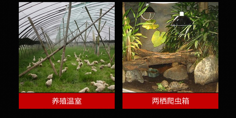 水晶温度计改色修改_06