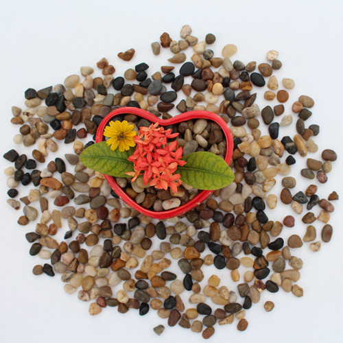 4-6mm超市小包装白色小石头出口白色鹅卵石纯白色砾石白石子