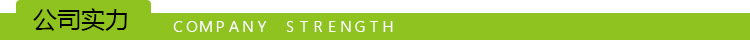 公司实力