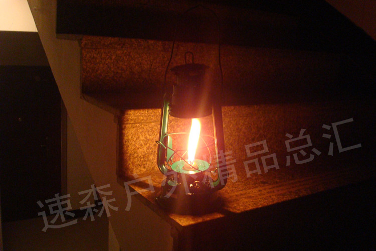 DSC07551_副本1