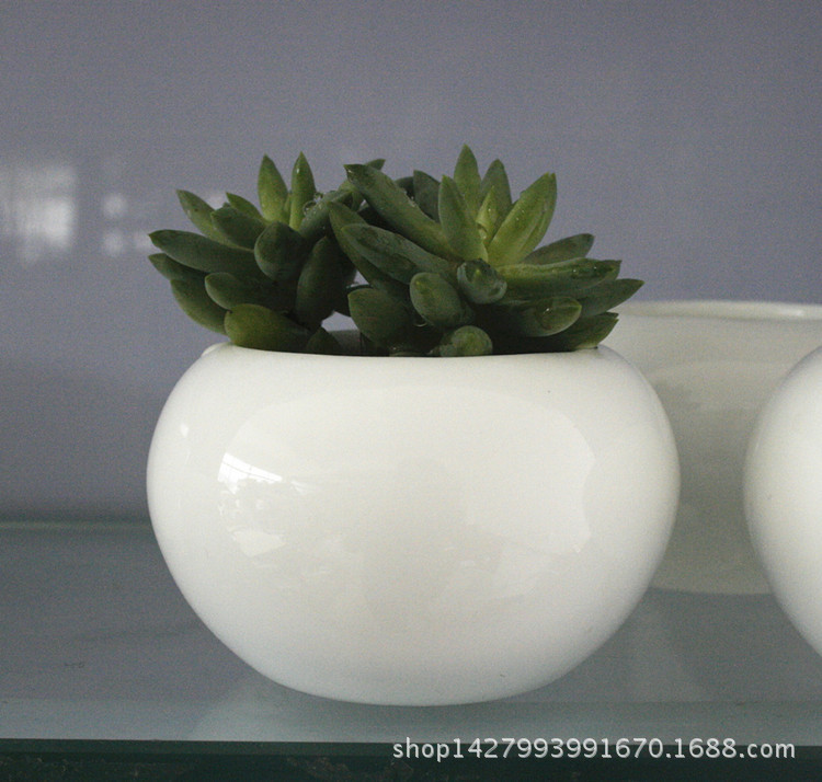 _MG_3963_副本_副本