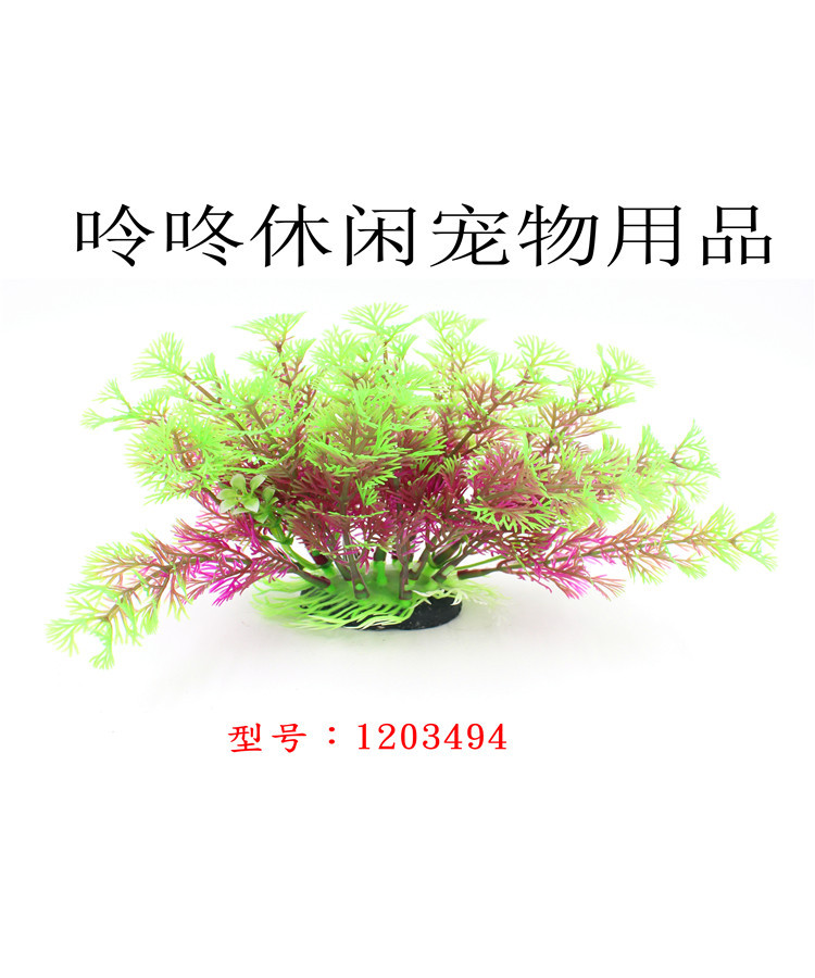 1203494