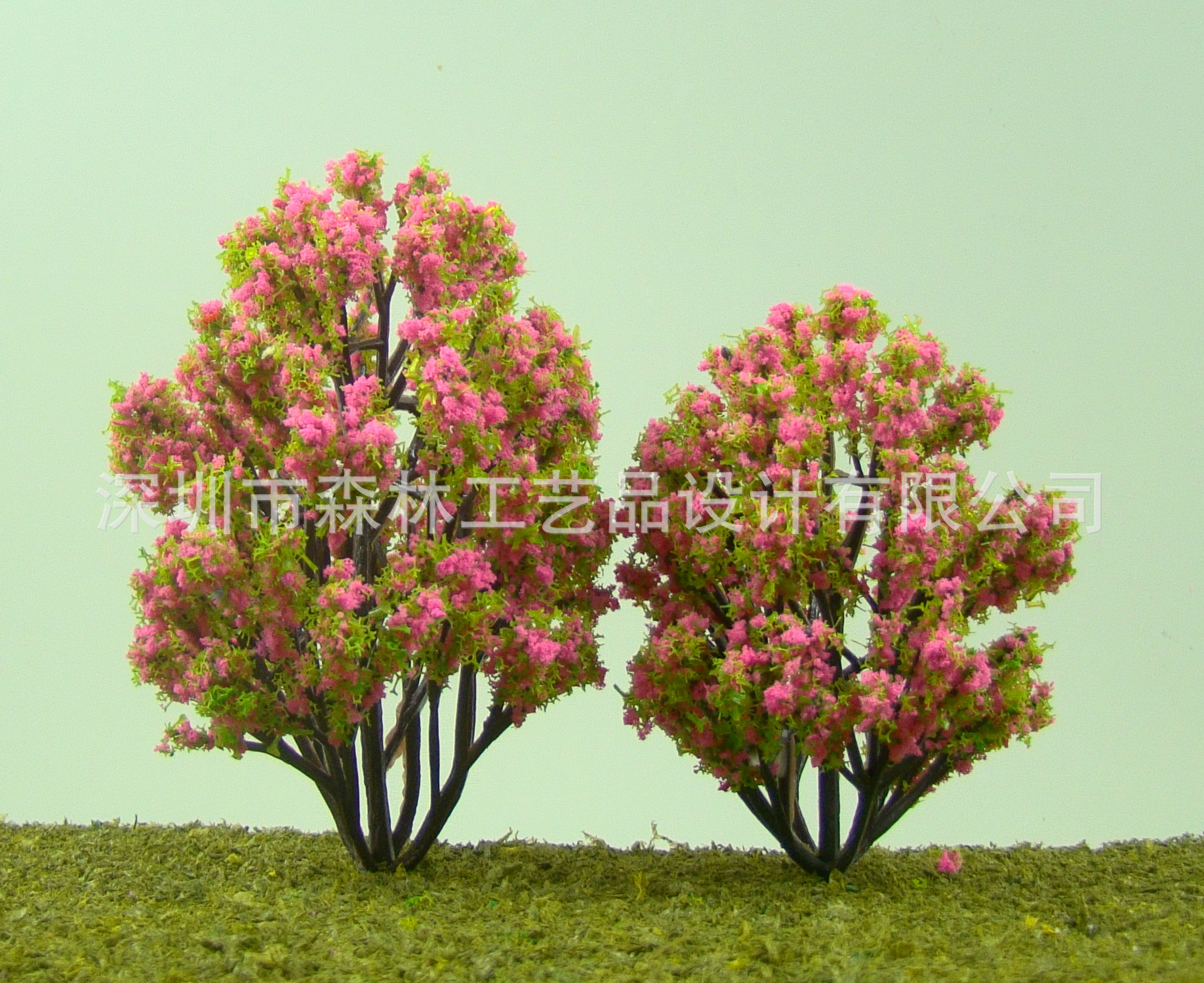 DSC04715 N