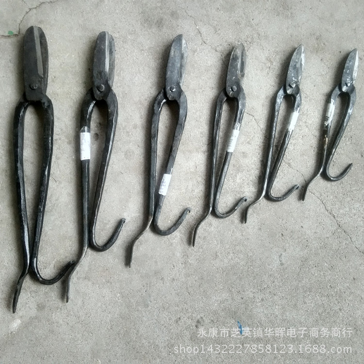 IMG_20150402_122958_HDR