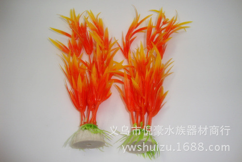 DSC02080