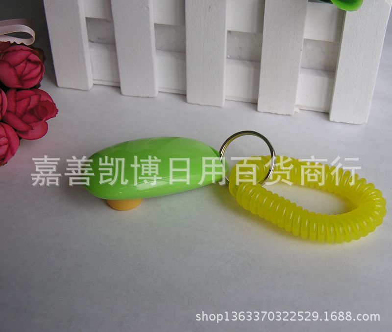 P1010232_副本