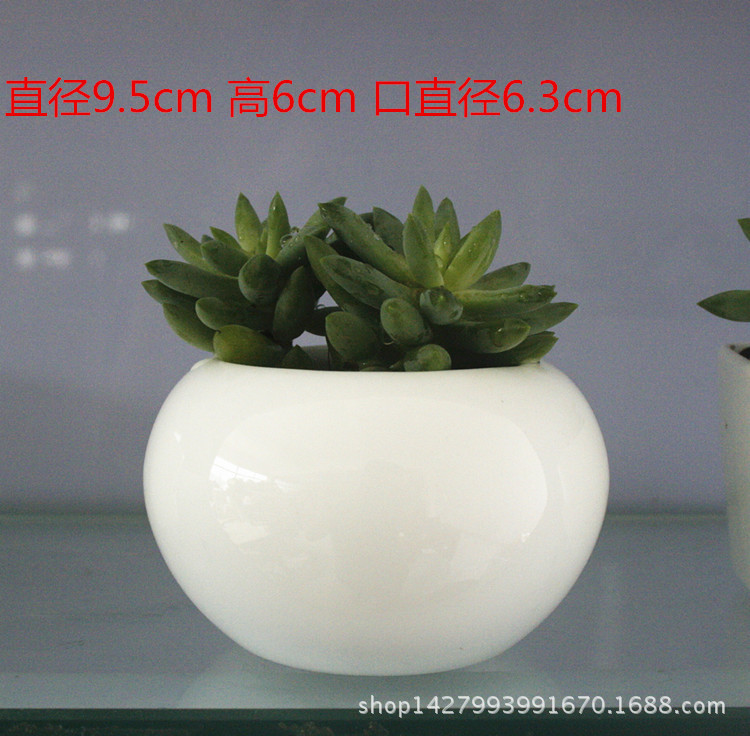 _MG_3962_副本_副本