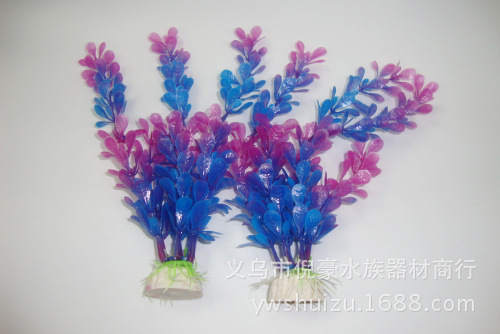 DSC02077