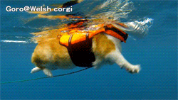 T2SKbjXdtbXXXXXXXX_!!90644716