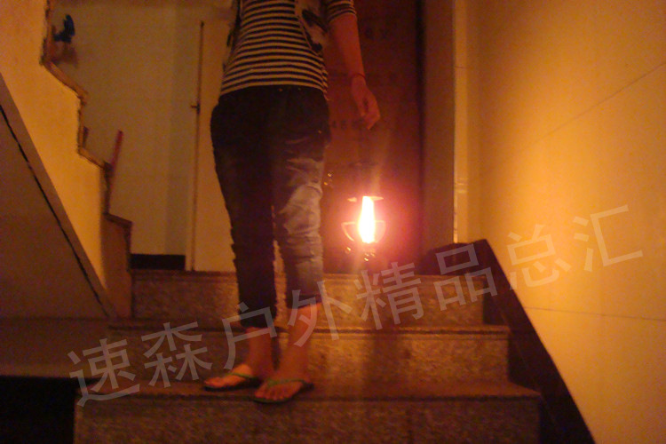 DSC07554_副本1