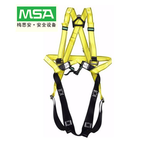 2620601978_903286856