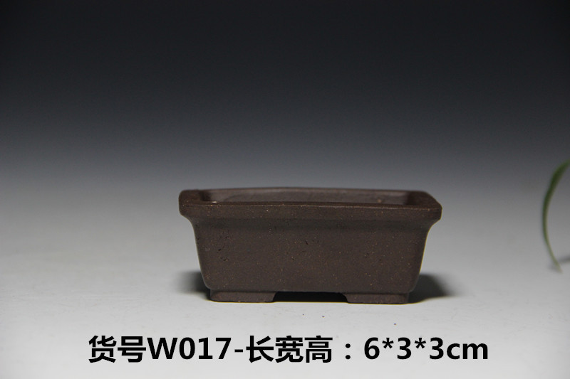 IMG_6154_副本